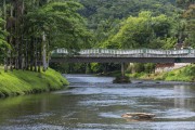 Bridge over the Nhundiaquara River - Morretes city - Parana state (PR) - Brazil
