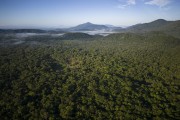 View of the Atlantic Forest near Salto Morato - Guaraquecaba city - Parana state (PR) - Brazil