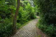 Municipal Forest of Portugal - Curitiba city - Parana state (PR) - Brazil