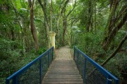 Municipal Forest of Portugal - Curitiba city - Parana state (PR) - Brazil