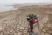 Riverine farmer walking on the part of the Solimoes River that dried up during the drought - Manaus city - Amazonas state (AM) - Brazil