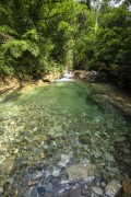 Bromelias Well (Bromeliads Well) - Serrinha do Alambari Environmental Protection Area - Resende city - Rio de Janeiro state (RJ) - Brazil