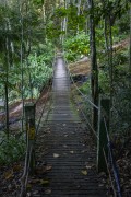 Suspension bridge in Tijuca Forest - Rio de Janeiro city - Rio de Janeiro state (RJ) - Brazil