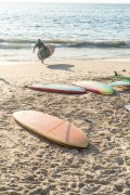 Stand up paddle boards for rent on Copacabana Beach - Rio de Janeiro city - Rio de Janeiro state (RJ) - Brazil