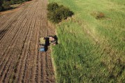 Picture taken with drone of automotrix making sugarcane silage for cattle - Mirassol city - Sao Paulo state (SP) - Brazil