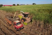 Picture taken with drone of automotrix making sugarcane silage for cattle - Mirassol city - Sao Paulo state (SP) - Brazil