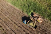 Picture taken with drone of automotrix making sugarcane silage for cattle - Mirassol city - Sao Paulo state (SP) - Brazil