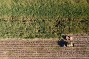 Picture taken with drone of automotrix making sugarcane silage for cattle - Mirassol city - Sao Paulo state (SP) - Brazil