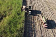 Picture taken with drone of automotrix making sugarcane silage for cattle - Mirassol city - Sao Paulo state (SP) - Brazil