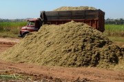 Sugarcane silos on a rural property - Mirassol city - Sao Paulo state (SP) - Brazil