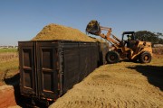 Wheel loader loading trucks with sugarcane silage - Mirassol city - Sao Paulo state (SP) - Brazil