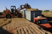 Wheel loader loading trucks with sugarcane silage - Mirassol city - Sao Paulo state (SP) - Brazil