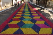 Street decorated for Corpus Christi procession - Potirendaba city - Sao Paulo state (SP) - Brazil