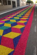 Street decorated for Corpus Christi procession - Potirendaba city - Sao Paulo state (SP) - Brazil