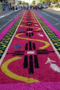 Street decorated for Corpus Christi procession - Potirendaba city - Sao Paulo state (SP) - Brazil