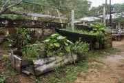 Small vegetable garden with medicinal plants in Tiririca Community - Anavilhanas National Park - Novo Airao city - Amazonas state (AM) - Brazil