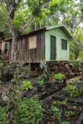 Small vegetable garden with medicinal plants in Tiririca Community - Anavilhanas National Park - Novo Airao city - Amazonas state (AM) - Brazil