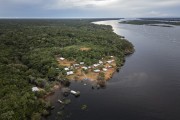 Picture taken with drone of stilt houses on the banks of Negro River - Anavilhanas National Park - Novo Airao city - Amazonas state (AM) - Brazil