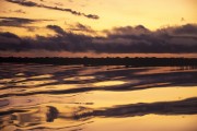 Sunrise on Anavilhanas National Park  - Manaus city - Amazonas state (AM) - Brazil