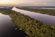 Picture taken with drone of river islands - Anavilhanas National Park  - Manaus city - Amazonas state (AM) - Brazil