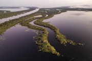 Picture taken with drone of river islands - Anavilhanas National Park  - Manaus city - Amazonas state (AM) - Brazil