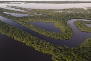 Picture taken with drone of river islands - Anavilhanas National Park  - Manaus city - Amazonas state (AM) - Brazil