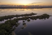 Picture taken with drone of river islands - Anavilhanas National Park  - Manaus city - Amazonas state (AM) - Brazil