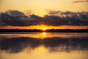 Sunrise on Anavilhanas National Park  - Manaus city - Amazonas state (AM) - Brazil