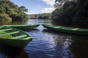 Canoes on Anavilhanas National Park  - Manaus city - Amazonas state (AM) - Brazil