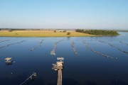 Picture taken with drone of fish farming tanks - Zacarias city - Sao Paulo state (SP) - Brazil