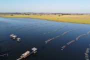 Picture taken with drone of fish farming tanks - Zacarias city - Sao Paulo state (SP) - Brazil