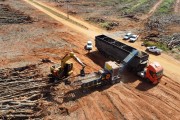 Picture taken with drone of tree chipper working on biomass production in a rubber plantation that was eradicated - Planalto city - Sao Paulo state (SP) - Brazil