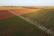 Picture taken with drone of irrigated sweet potato plantation with central pivot - Zacarias city - Sao Paulo state (SP) - Brazil