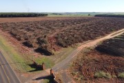 Picture taken with drone of eradicated rubber to give way to sugarcane plant - Planalto city - Sao Paulo state (SP) - Brazil