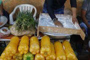 Woman sifting cassava and tucupi gum into a pet bottle for sale - Parintins city - Amazonas state (AM) - Brazil