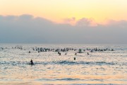 Practitioners of Stand up paddle - post 6 of Copacabana Beach at dawn - Rio de Janeiro city - Rio de Janeiro state (RJ) - Brazil