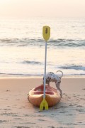 Dog urinating on kayak at Copacabana Beach - Rio de Janeiro city - Rio de Janeiro state (RJ) - Brazil