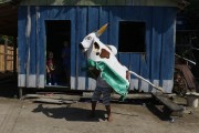 Popular folklore of Boi Malhadinho (Boi Estrelinha) in the community of Nossa Senhora das Lagrimas - Parintins city - Amazonas state (AM) - Brazil