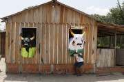 Children playing Boi Corre Campo dressed in black and Boi Tira Prosa dressed in white in the community of São Sebastiao do Jara - Parintins city - Amazonas state (AM) - Brazil