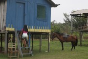 House on stilts in the Sao Jose Costa do Arco Community - Parintins city - Amazonas state (AM) - Brazil