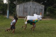 Popular folklore of Boi Estrelinha in the Perpetuo Socorro Community - Parintins city - Amazonas state (AM) - Brazil