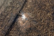 Picture taken with drone of sugarcane fields burned by fire in rural area - Moncoes city - Sao Paulo state (SP) - Brazil