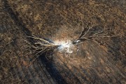 Picture taken with drone of sugarcane fields burned by fire in rural area - Moncoes city - Sao Paulo state (SP) - Brazil