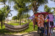 Coconut trees on the edge of Tambau Beach - Joao Pessoa city - Paraiba state (PB) - Brazil