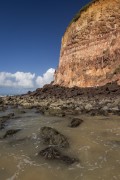 Detail of cliff at Madeiro Beach - Tibau do Sul city - Rio Grande do Norte state (RN) - Brazil