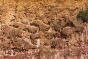 Detail of cliff at Madeiro Beach - Tibau do Sul city - Rio Grande do Norte state (RN) - Brazil