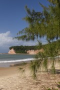 Cliffs in Beach of Golfinhos Bay  - Tibau do Sul city - Rio Grande do Norte state (RN) - Brazil