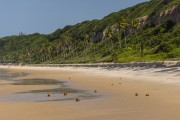 Cliffs at Madeiro Beach - Tibau do Sul city - Rio Grande do Norte state (RN) - Brazil