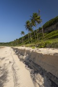 Cliffs at Madeiro Beach - Tibau do Sul city - Rio Grande do Norte state (RN) - Brazil