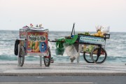 Street vendors of green corn and caipirinha and drinks - Copacabana Beach - Rio de Janeiro city - Rio de Janeiro state (RJ) - Brazil